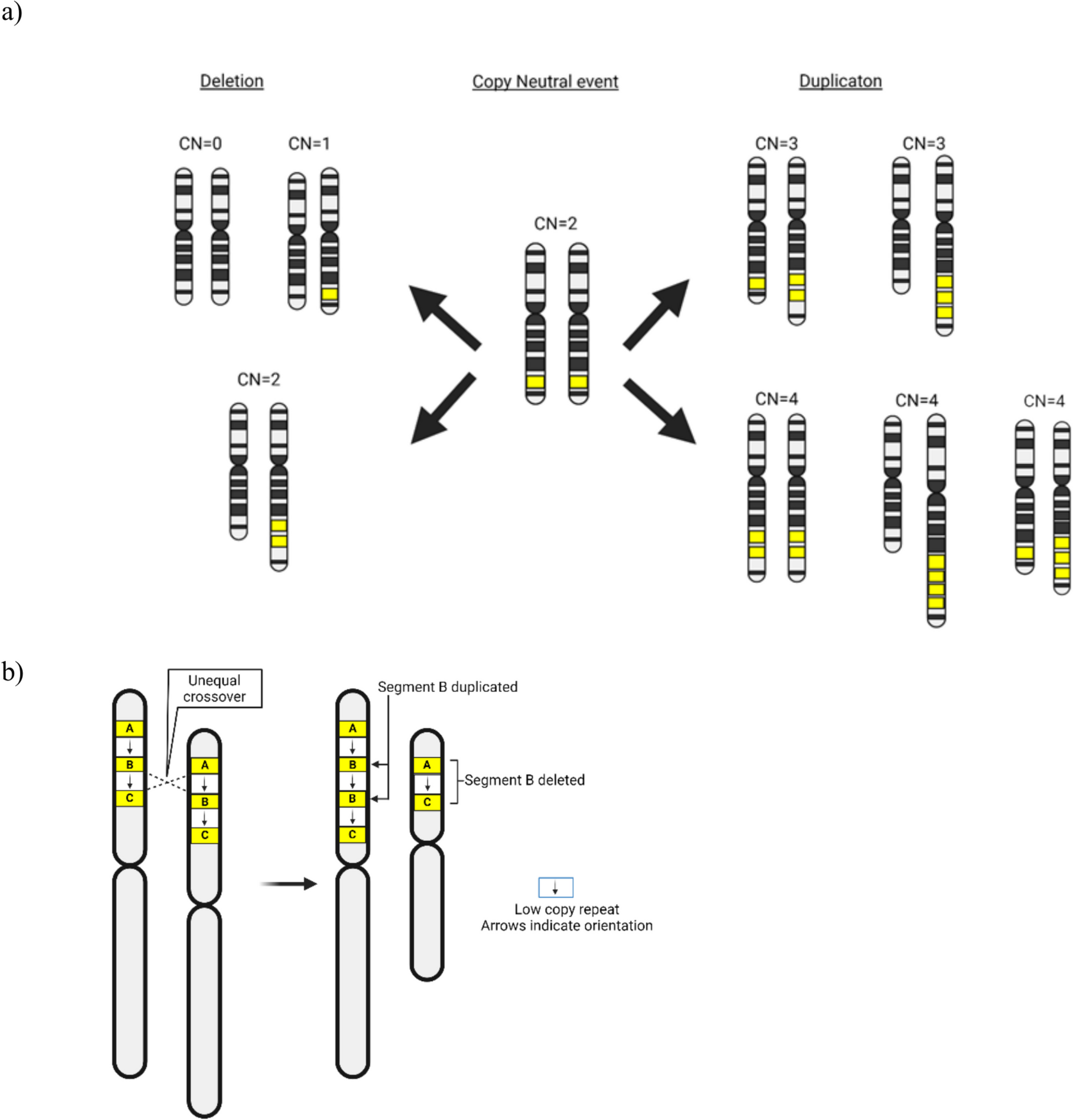 Copy Number Variation in Asthma: An Integrative Review