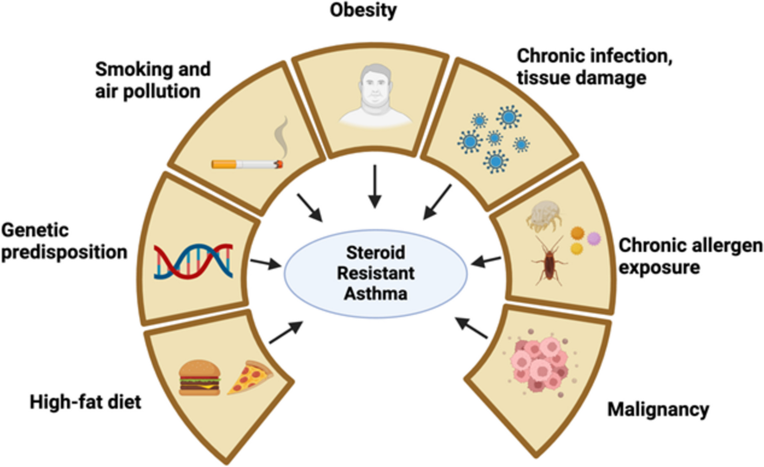 Group 3 Innate Lymphoid Cells: A Potential Therapeutic Target for Steroid Resistant Asthma