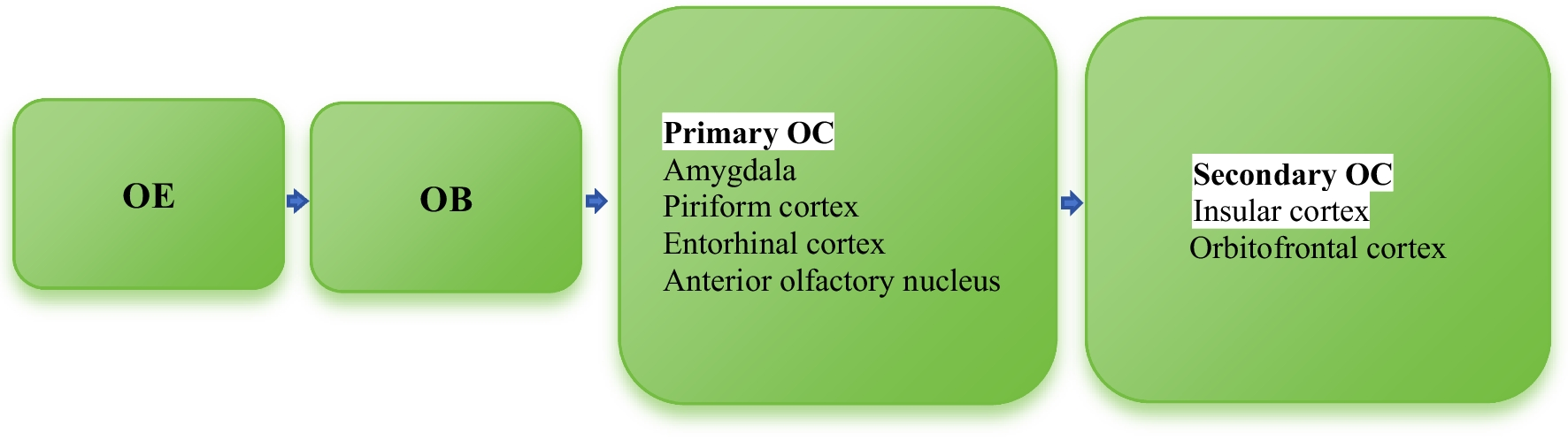 Olfactory Dysfunction in Allergic Rhinitis