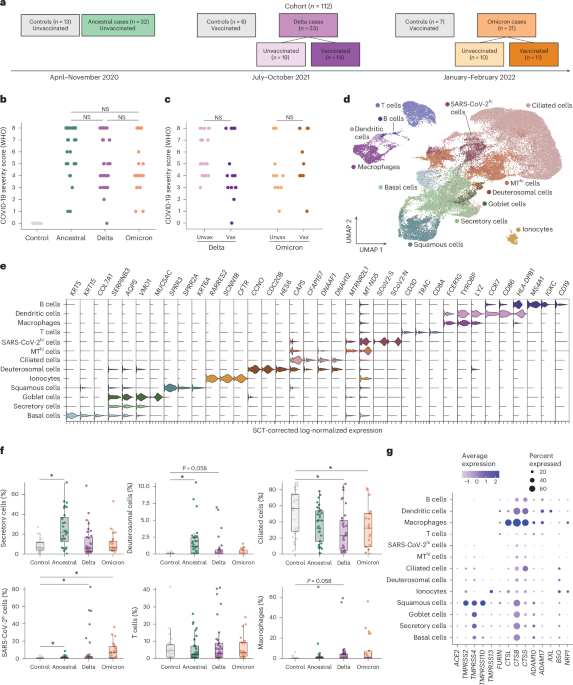 Variants and vaccines impact nasal immunity over three waves of SARS-CoV-2