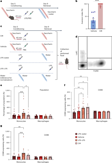 Retrieval of conditioned immune response in male mice is mediated by an anterior–posterior insula circuit