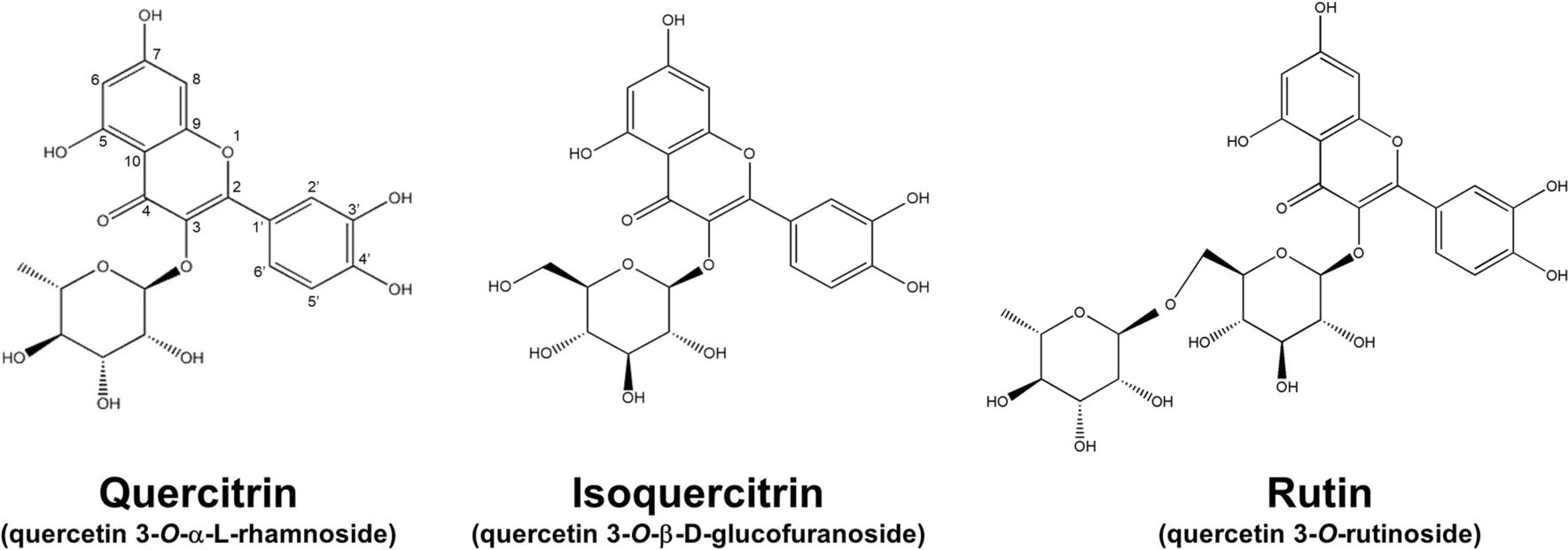 Topical Anti-Inflammatory Effects of Quercetin Glycosides on Atopic Dermatitis-Like Lesions: Influence of the Glycone Type on Efficacy and Skin Absorption