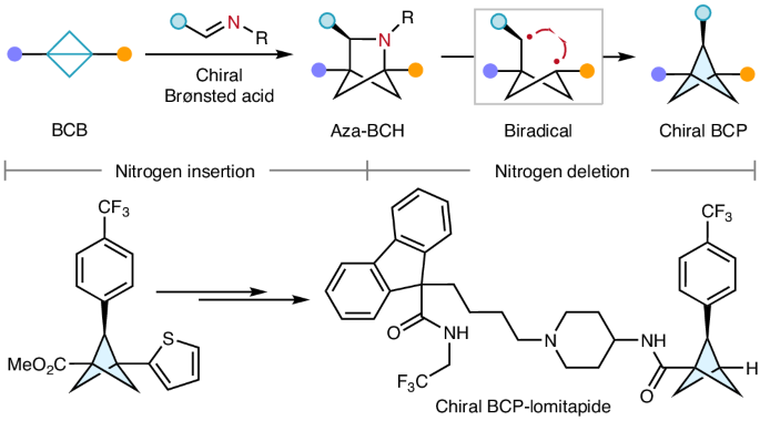 Enantioselective synthesis of 2-substituted bicyclo[1.1.1]pentanes via sequential asymmetric imine addition of bicyclo[1.1.0]butanes and skeletal editing