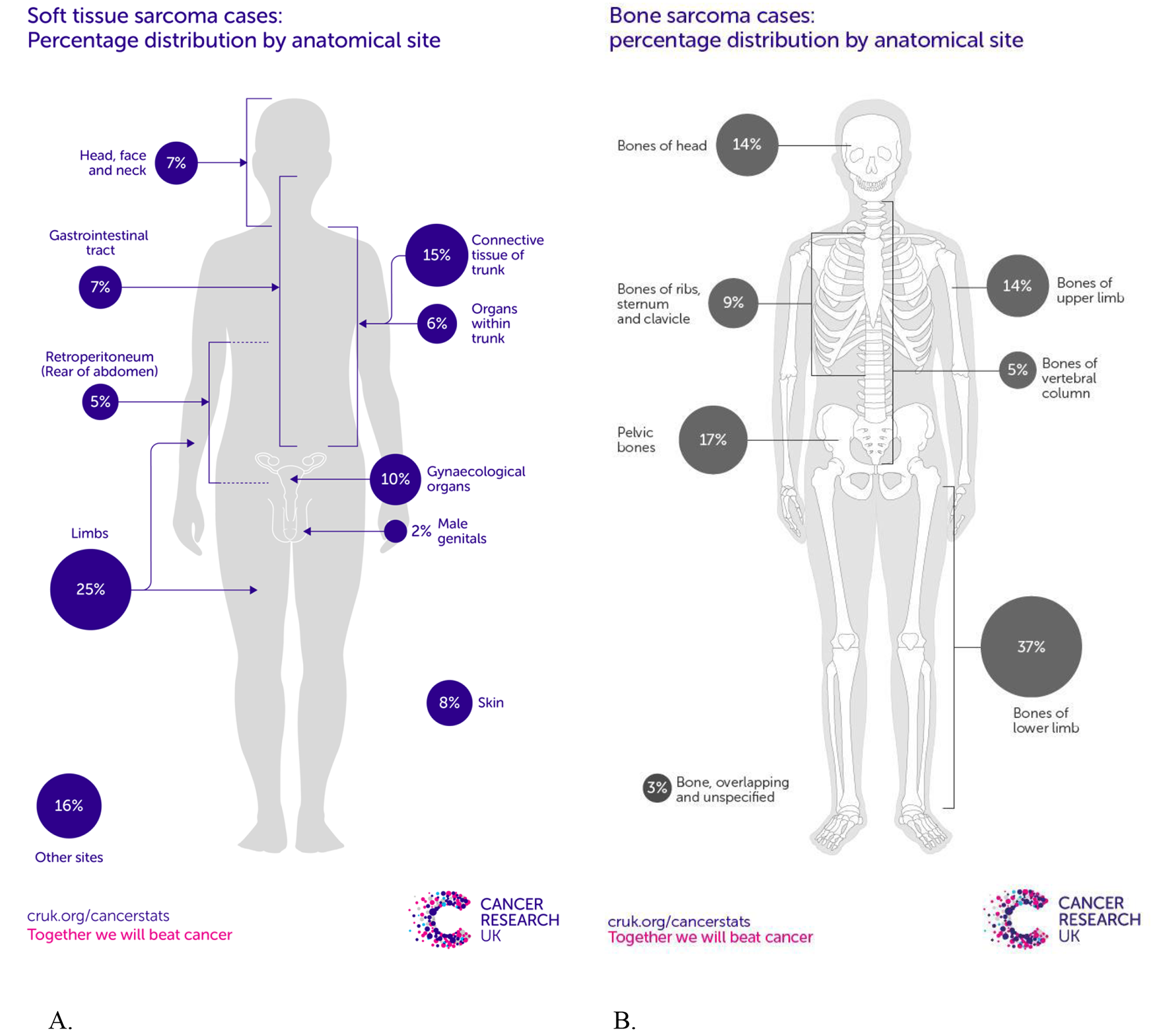 Management and outcomes of thoracic sarcomas - a collaboration between Orthopaedic Oncology and cardiothoracic surgery: seven-year clinical data from a tertiary referral centre