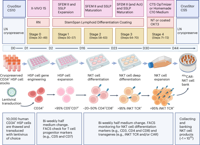Generating allogeneic CAR-NKT cells for off-the-shelf cancer immunotherapy with genetically engineered HSP cells and feeder-free differentiation culture