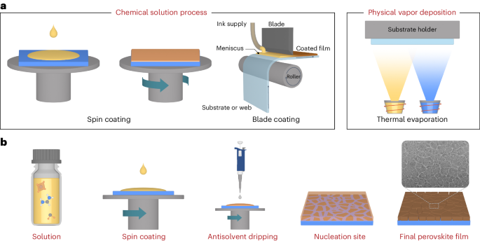 Fabrication of high-performance tin halide perovskite thin-film transistors via chemical solution-based composition engineering