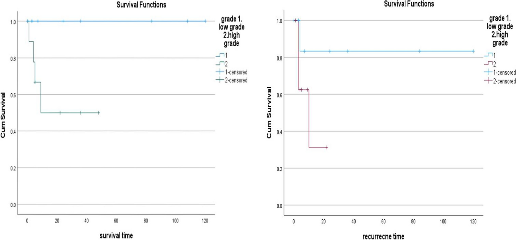 Analysis of Clinical Presentation, Radiological Features, Management, and Oncological Outcome of Endometrial Stromal Sarcoma: A Retrospective Study