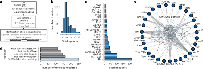 Integrons are anti-phage defence libraries in Vibrio parahaemolyticus