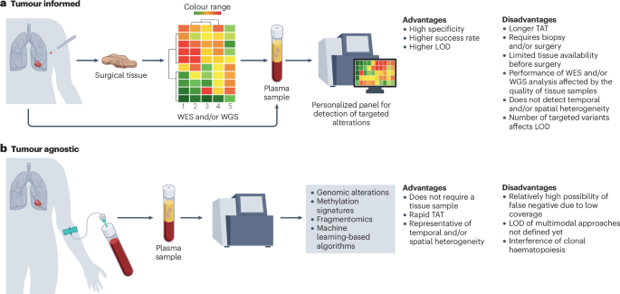 Circulating tumour DNA in early stage and locally advanced NSCLC: ready for clinical implementation?