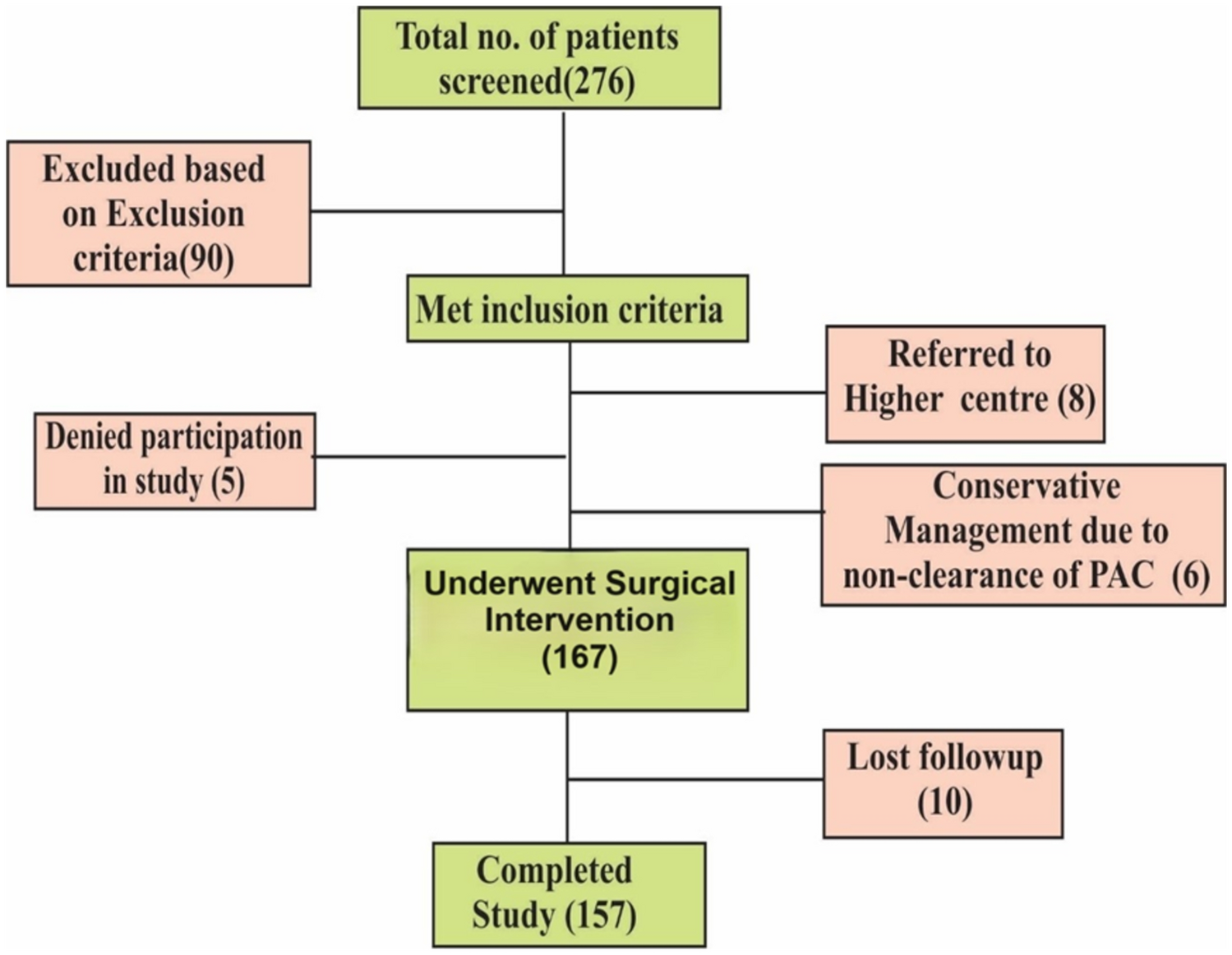Deciphering the Frailty Factor: Comprehensive Insights Into Its Impact on Postoperative Complications and Recovery Among Elderly Orthopedic Surgery Patients