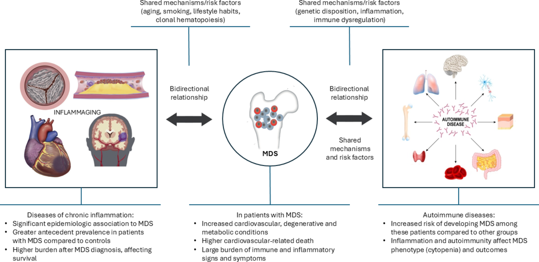 Role of Population Based Studies in Advancing our Knowledge of Myelodysplastic Syndromes