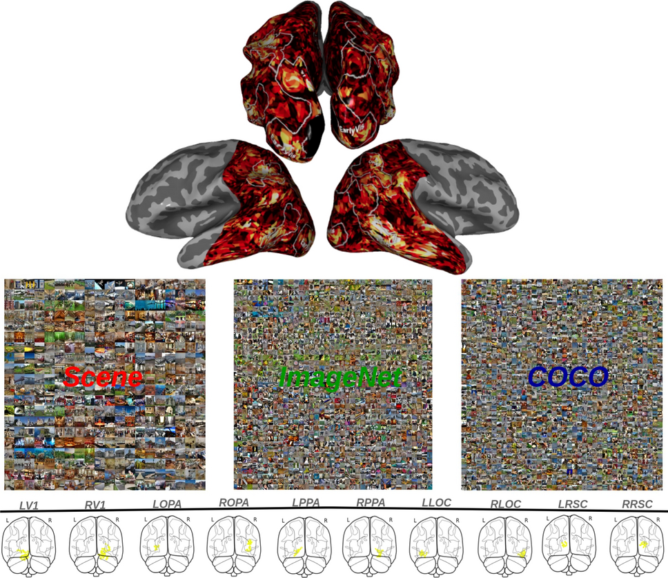 Visual image reconstructed without semantics from human brain activity using linear image decoders and nonlinear noise suppression