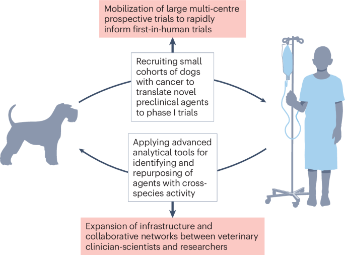 Maximizing the dual benefit of pet dogs in cancer trials