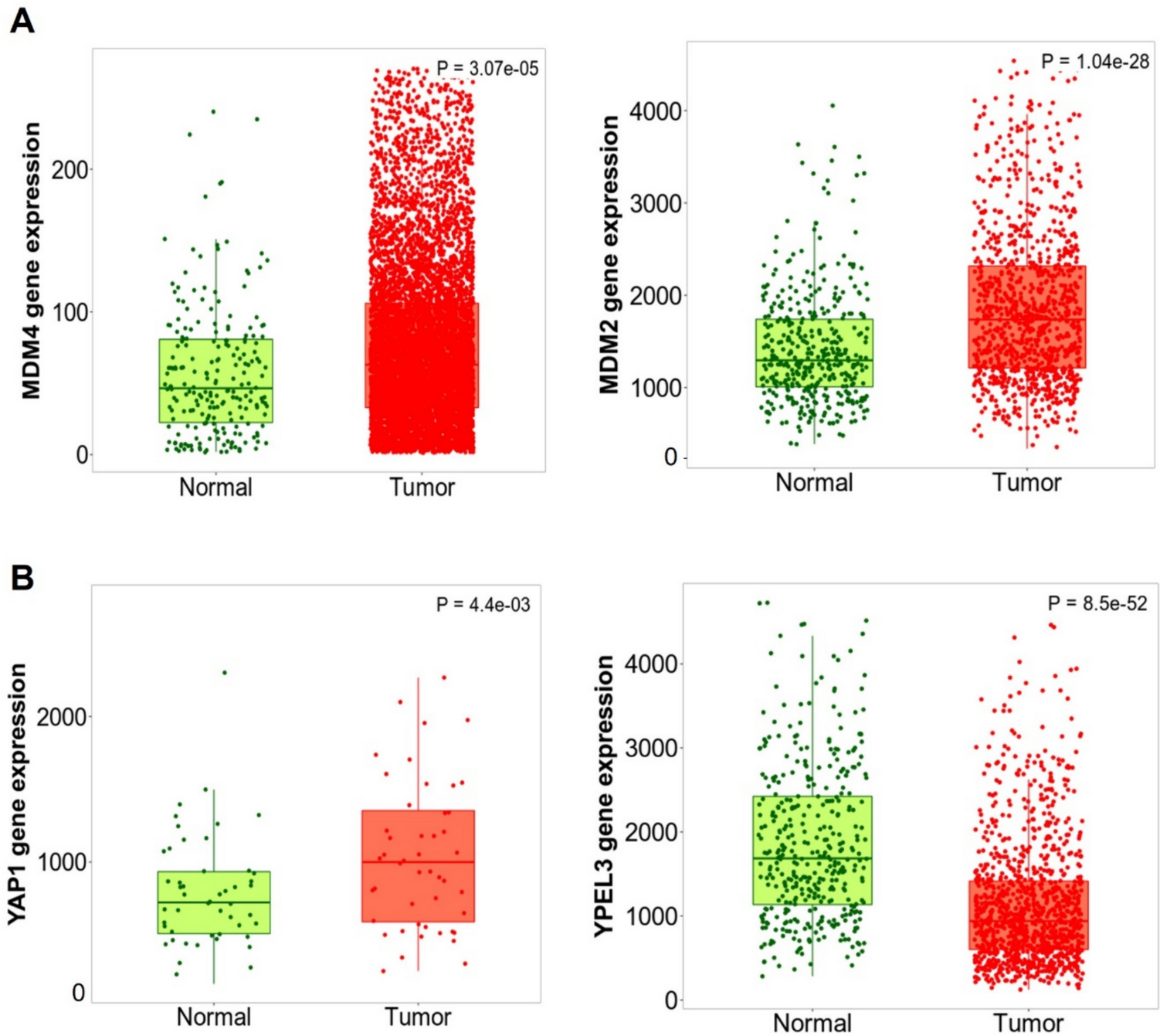 Upregulation of YPEL3 expression and induction of human breast cancer cell death by microRNAs
