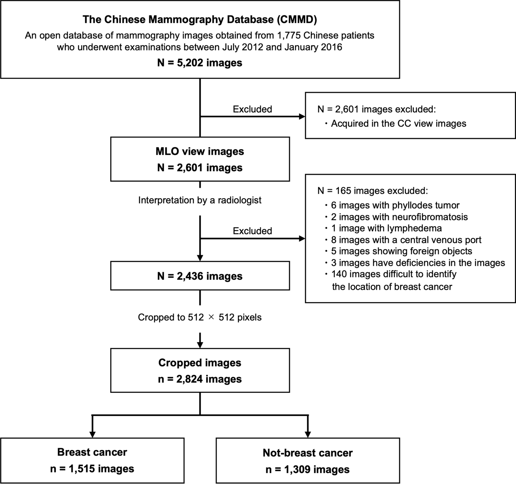 Breast cancer classification based on breast tissue structures using the Jigsaw puzzle task in self-supervised learning