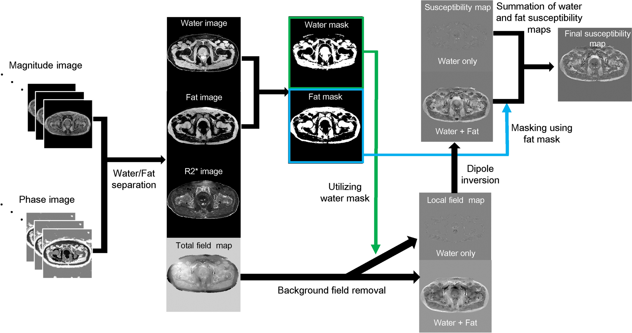 Water/fat separate reconstruction for body quantitative susceptibility mapping in MRI