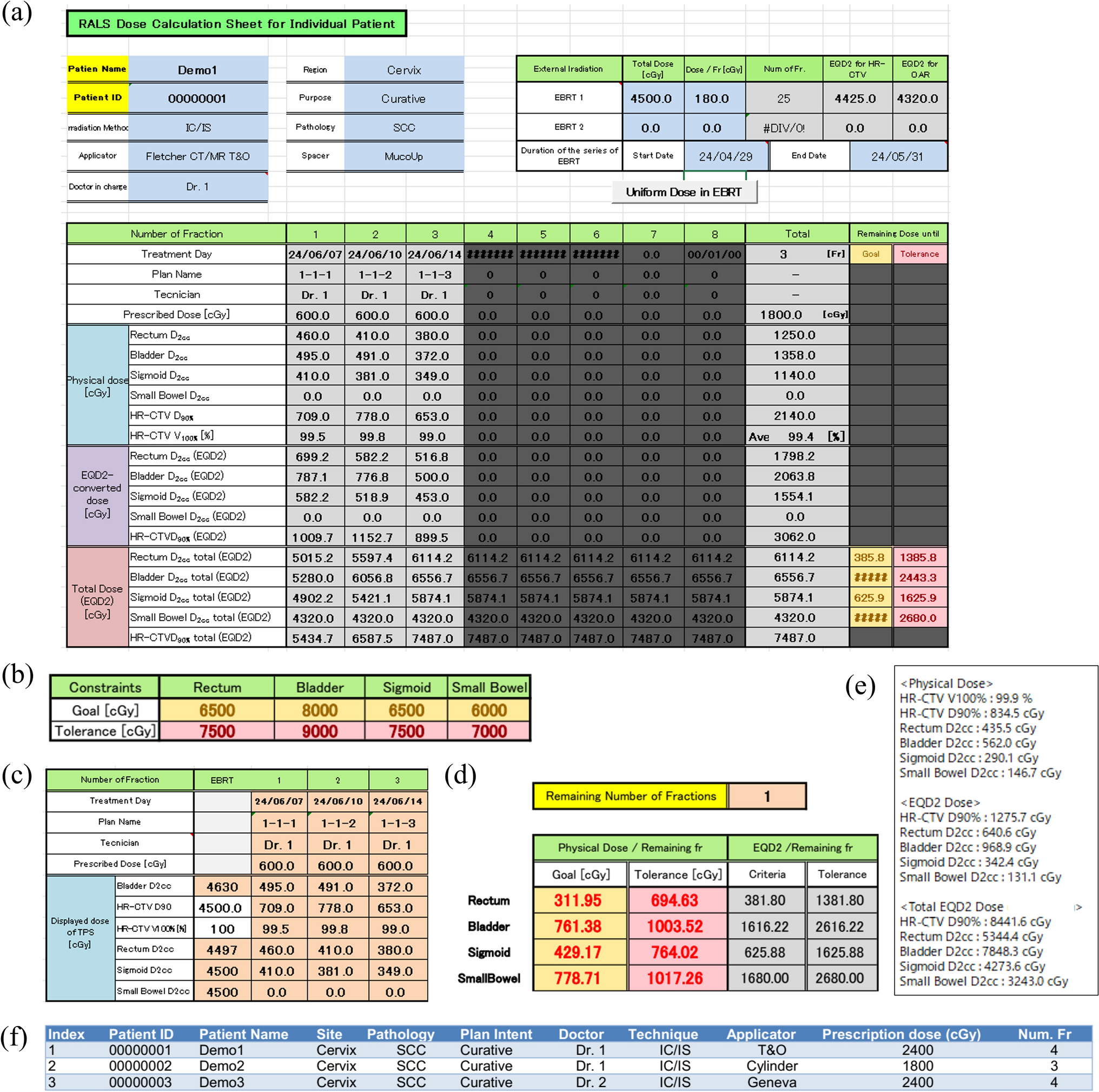 Optimizing the planning process in computed tomography-based image-guided adaptive brachytherapy for cervical cancer using a spreadsheet-based daily dose management system