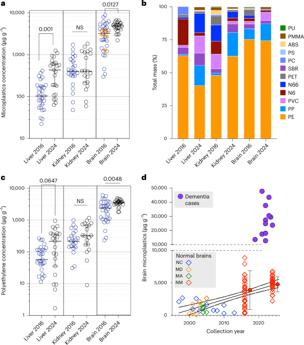 Bioaccumulation of microplastics in decedent human brains