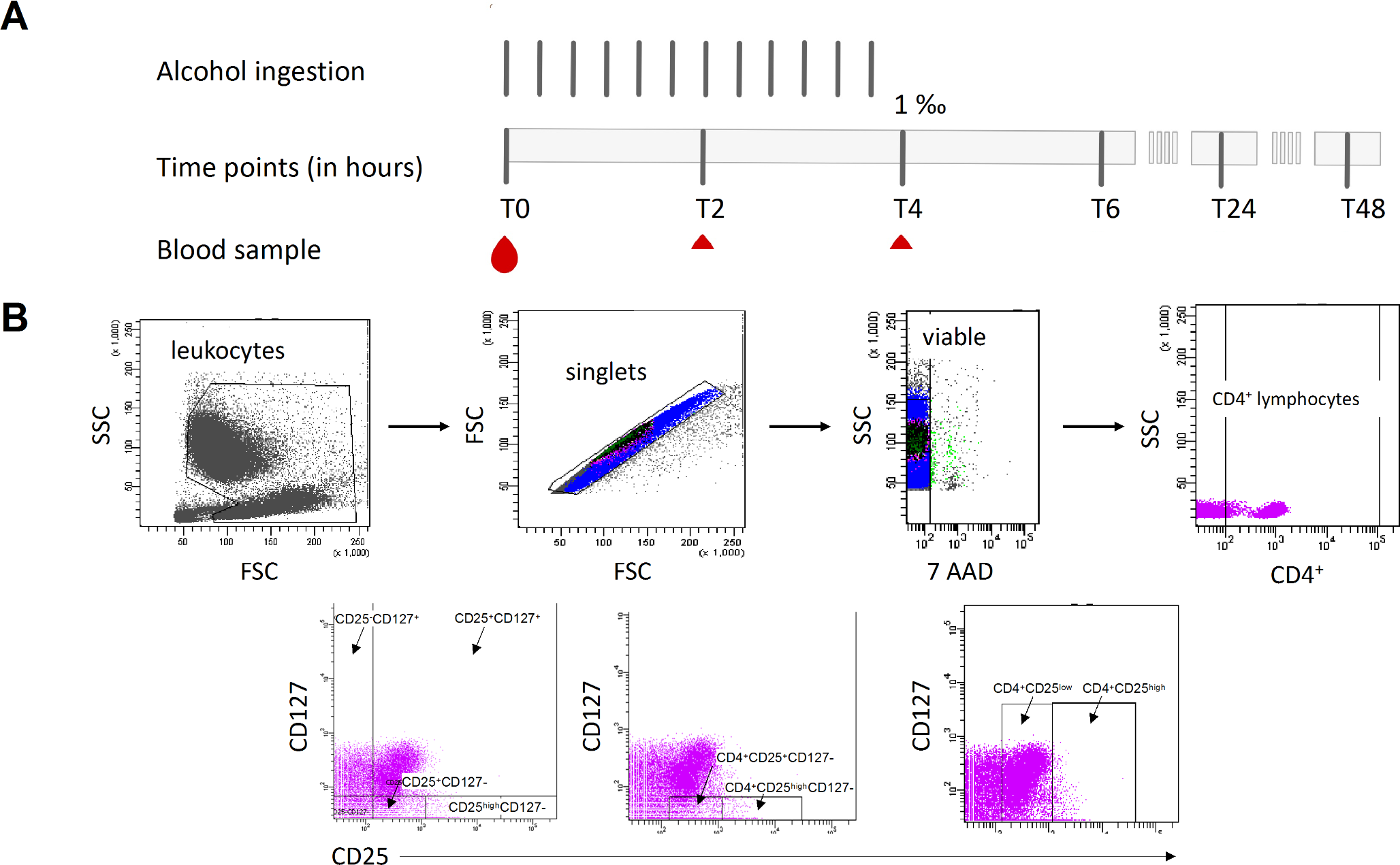 Alcohol drinking leads to sex-dependent differentiation of T cells