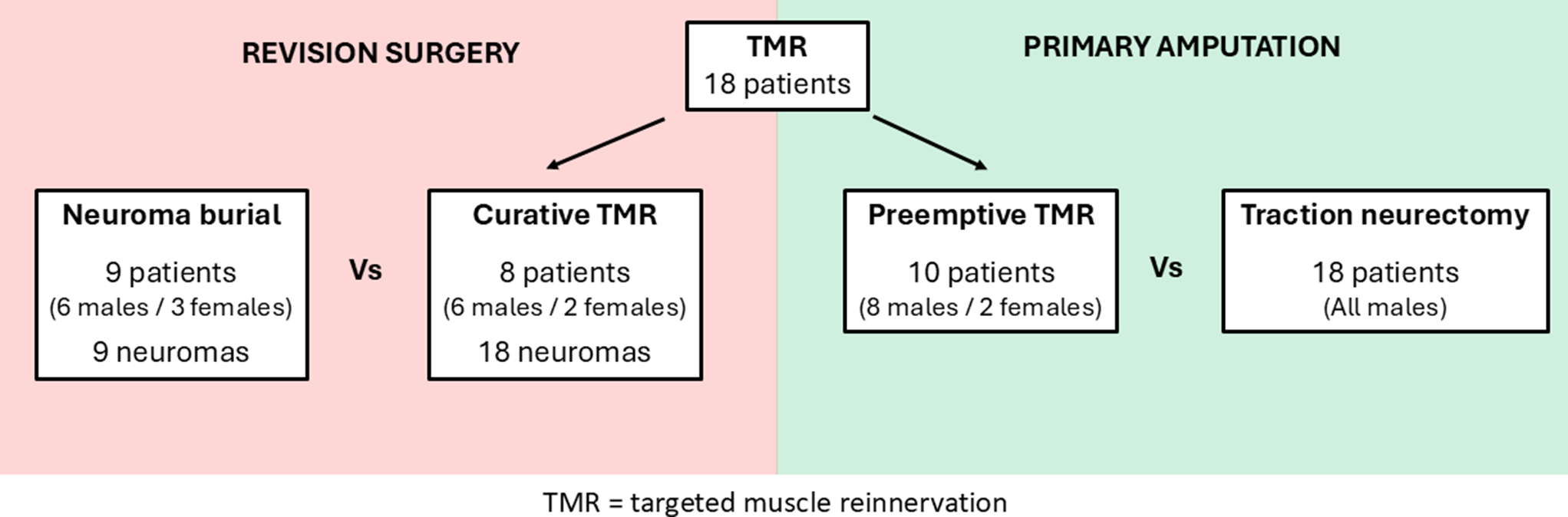 Curative and preemptive treatment of amputee pain by targeted muscle reinnervation: experience from a French military trauma center