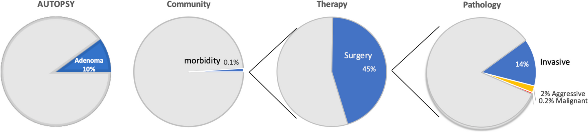 Pituitary adenomas: biology, nomenclature and clinical classification