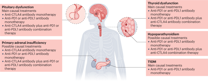 Management, biomarkers and prognosis in people developing endocrinopathies associated with immune checkpoint inhibitors