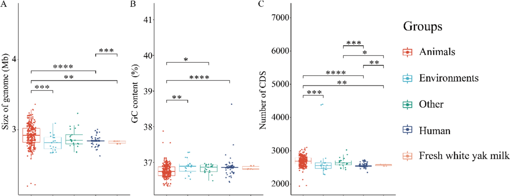 Isolation of Enterococcus hirae From Fresh White Yak Milk in Ledu District, Qinghai Province, China: A Comparative Genomic Analysis