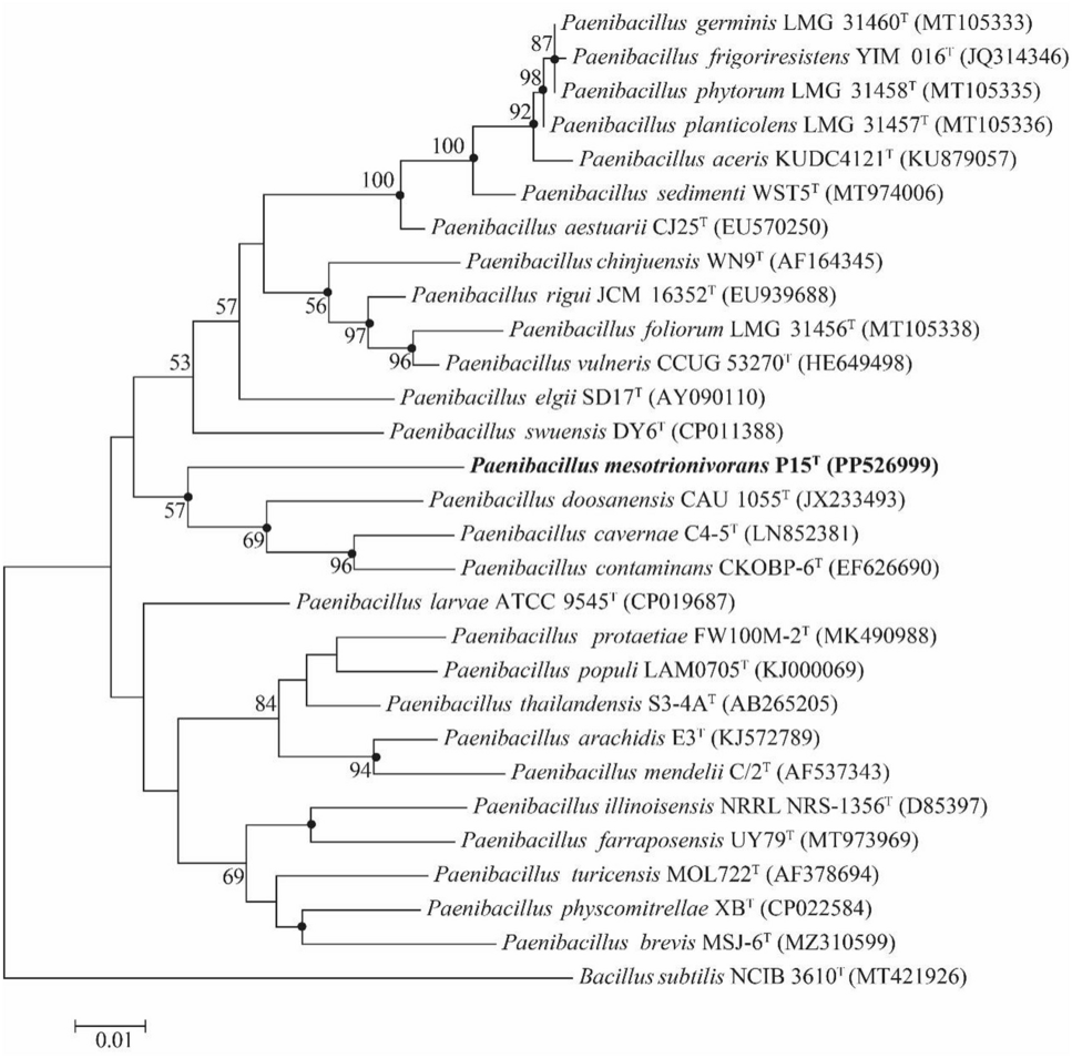 Paenibacillus mesotrionivorans sp. nov., a Mesotrione-Degrading Strain Isolated from Soil