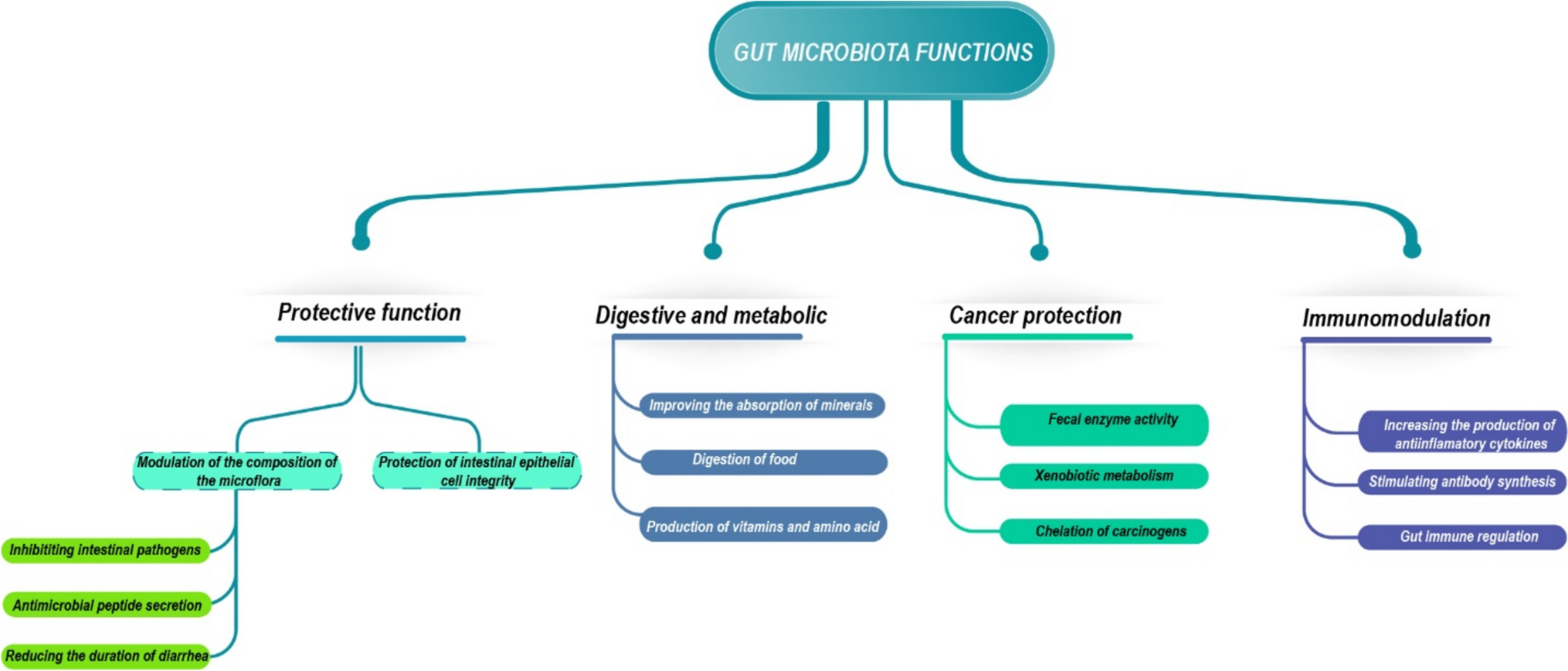 Impact of Fermented Milk On Gut Microbiota And Human Health: A Comprehensive Review