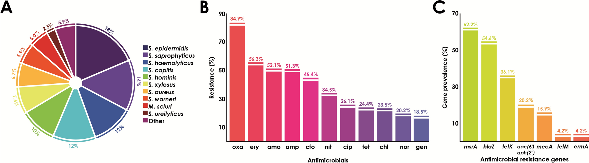 From Farm to Community: Dispersal of Potentially Pathogenic Staphylococcus and Mammaliicoccus Species and Antimicrobial Resistance Across Shared Environments