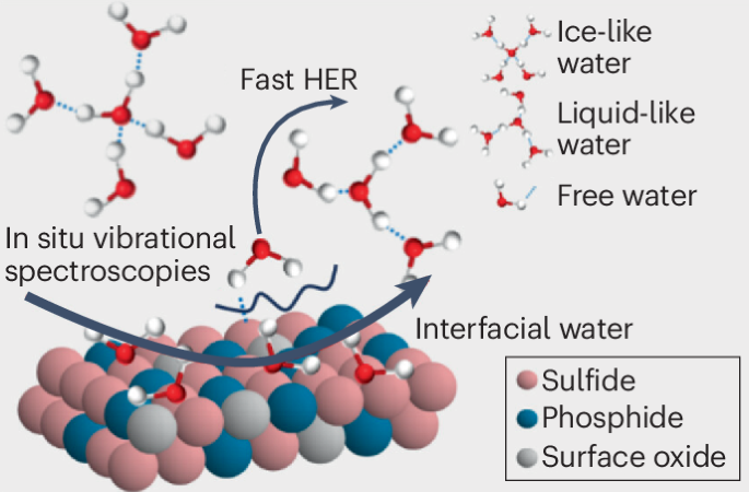Free water releases hydrogen