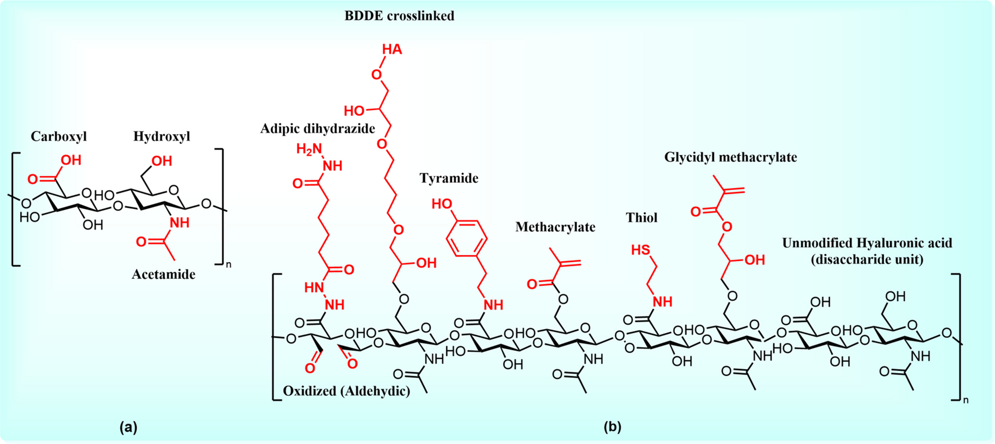 Comprehensive Exploration on Chemical Functionalization and Crosslinked Injectable Hyaluronic Acid Hydrogels for Tissue Engineering Applications