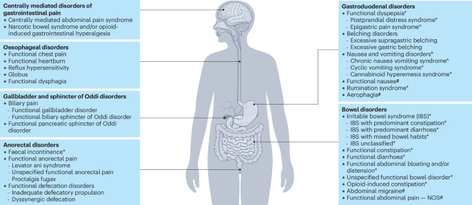 Rome Foundation Working Team Report on overlap in disorders of gut–brain interaction