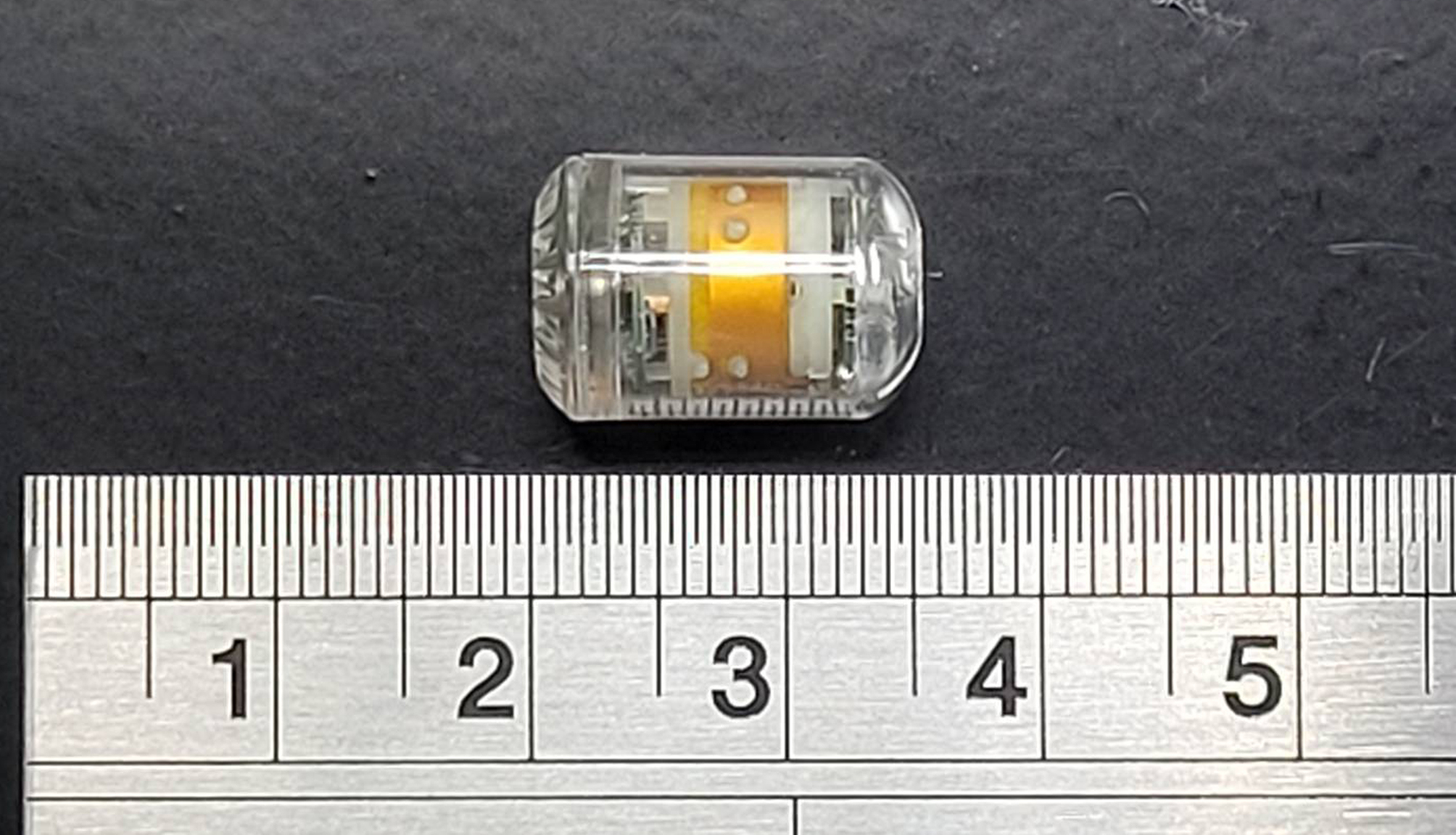 Feasibility and accuracy of continuous intraabdominal pressure monitoring with a capsular device in human pilot trial