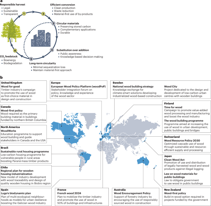 A global policy framework for the circular use of forest biomass as building materials