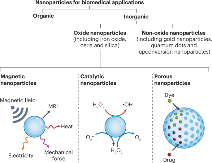 Design of oxide nanoparticles for biomedical applications