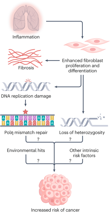 Genome-wide mutagenesis reported in systemic sclerosis