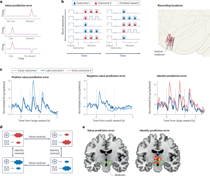 The curious case of dopaminergic prediction errors and learning associative information beyond value