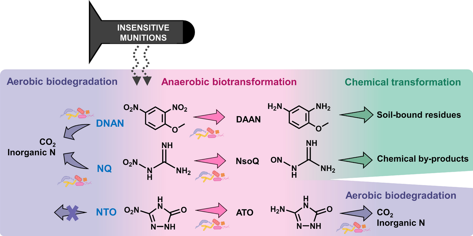 Microbial remediation of insensitive munitions compounds and their transformation products: from biodegradation mechanisms to engineered strategies