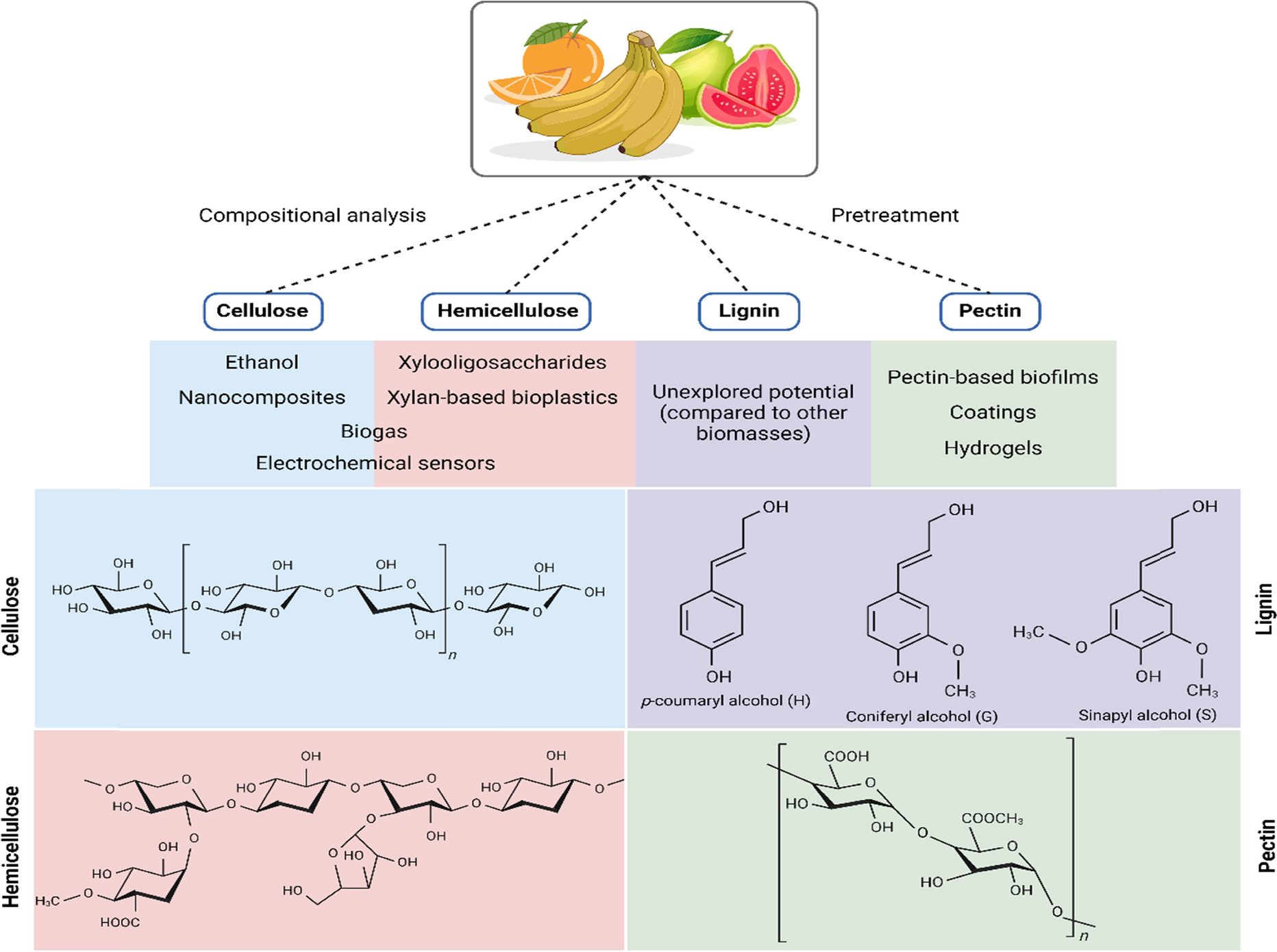Exploring fruit waste macromolecules and their derivatives to produce building blocks and materials
