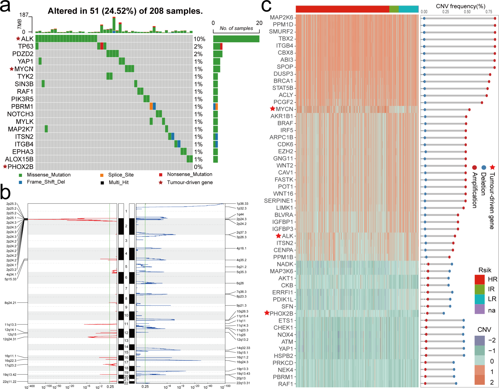 Comprehensive assessment of the significance of cellular senescence-associated genes in neuroblastoma