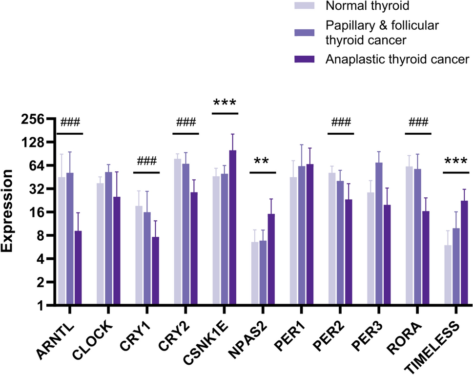 Identifying CSNK1E as a therapeutic target in thyroid cancer among the core circadian clock genes