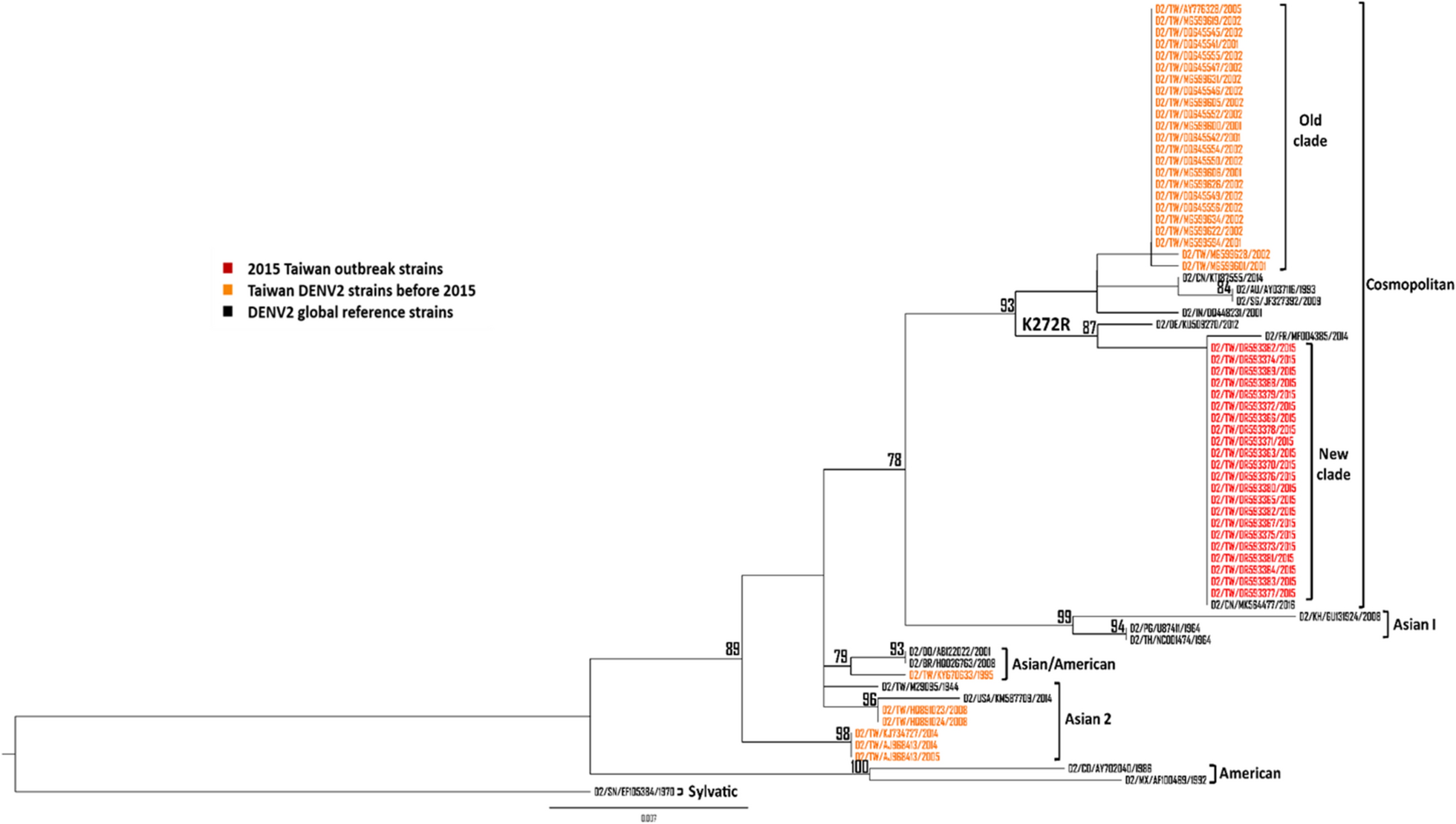 A non-structural protein 1 substitution of dengue virus enhances viral replication by interfering with the antiviral signaling pathway