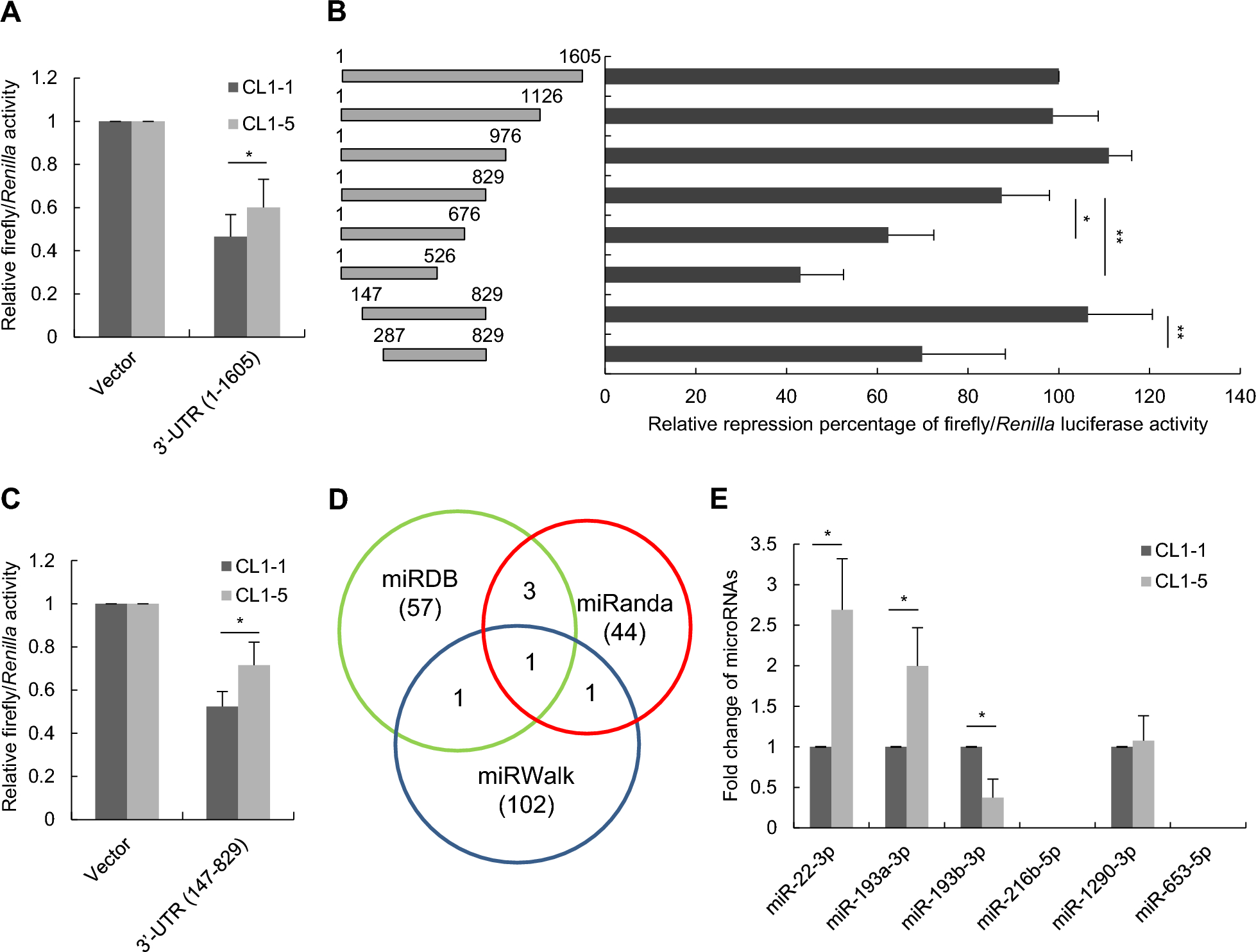 miR-193b-3p suppresses lung cancer cell migration and invasion through PRNP targeting