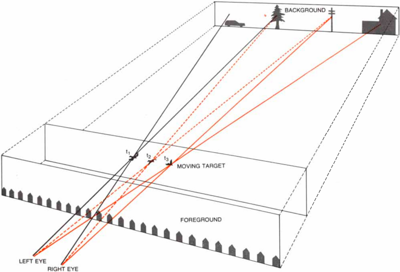 Olfaction is a Spatial Sense