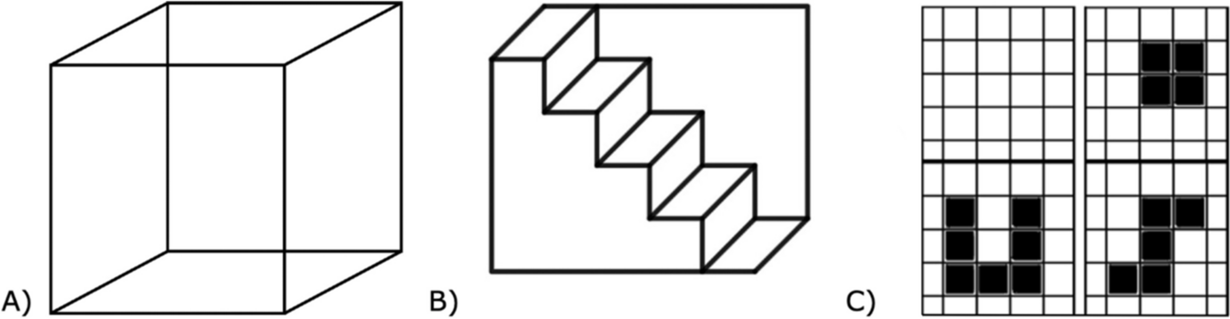Framing Effects in Object Perception