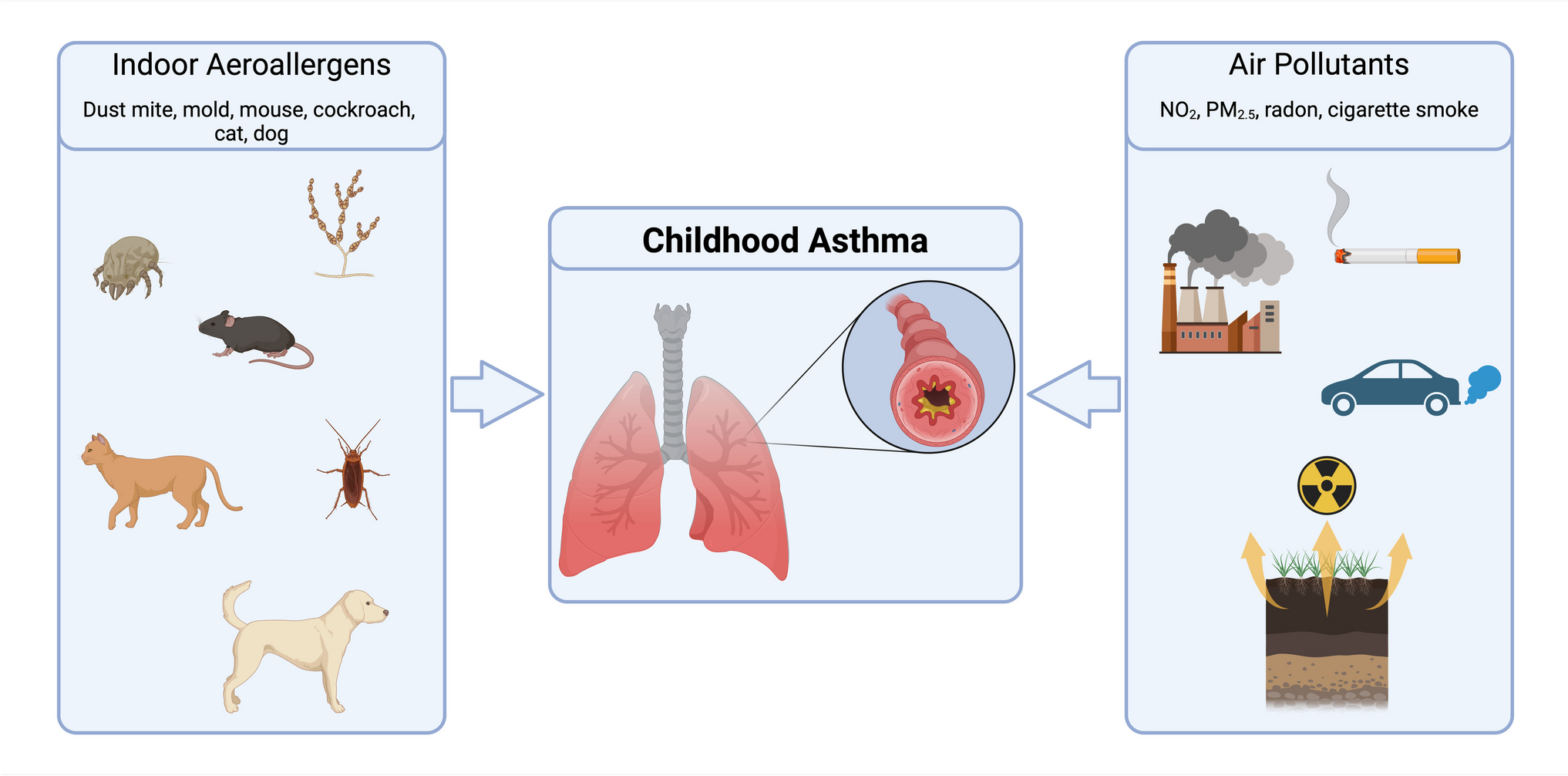 The Impact of the Indoor Environment on Childhood Asthma