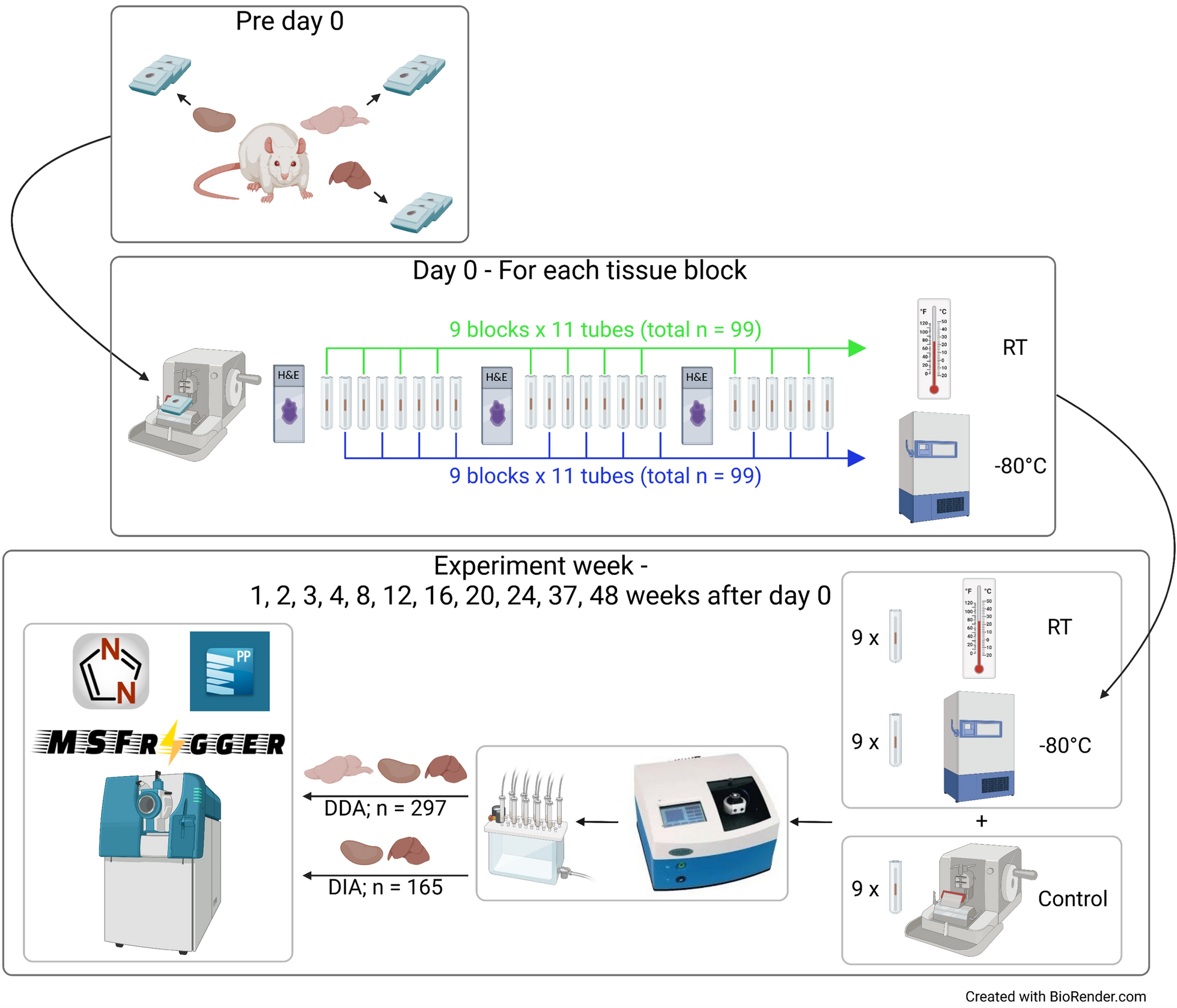 The effect of storage time and temperature on the proteomic analysis of FFPE tissue sections