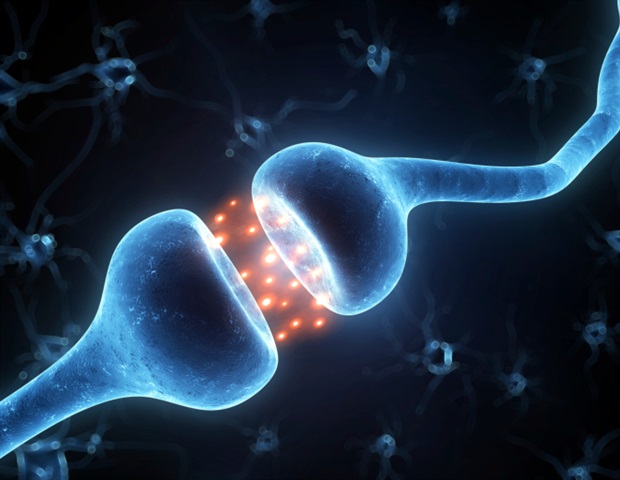 FGF21 hormone drives protein-specific appetite and reward in the brain