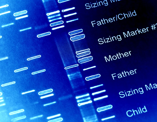 New research reveals how cell state affects leukemia progression